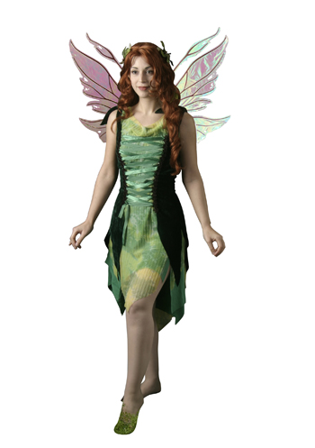 Forest Fairy Adult Costume - Click Image to Close